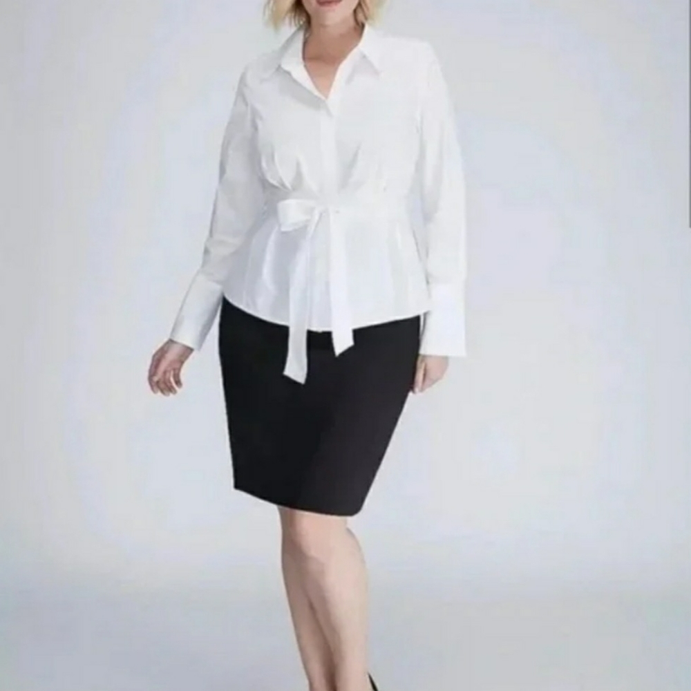 Lane Bryant Modernist Skirt